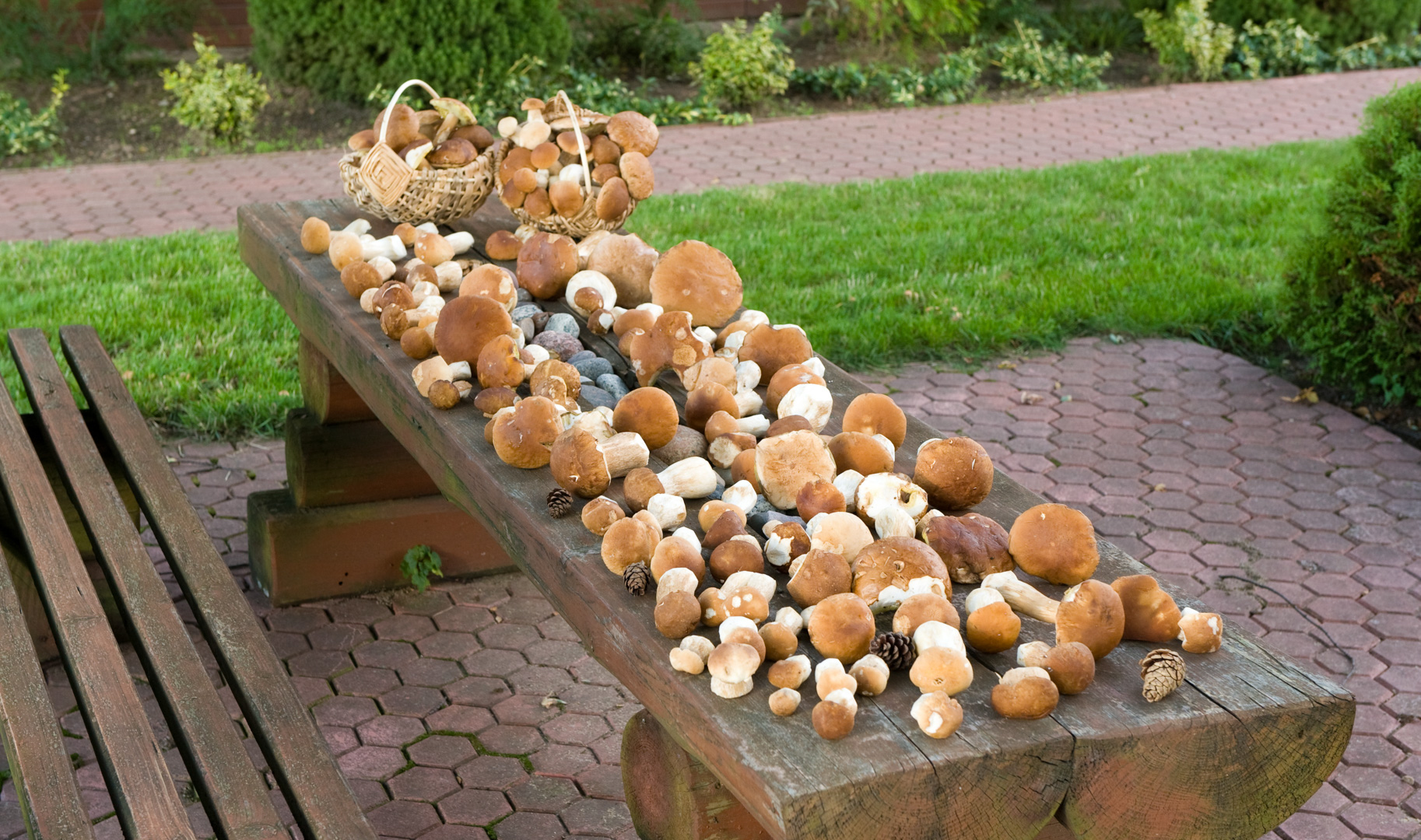 srebrny-klon-pensjonat-kaszuby-salon-3